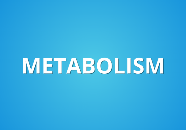 Metabolism